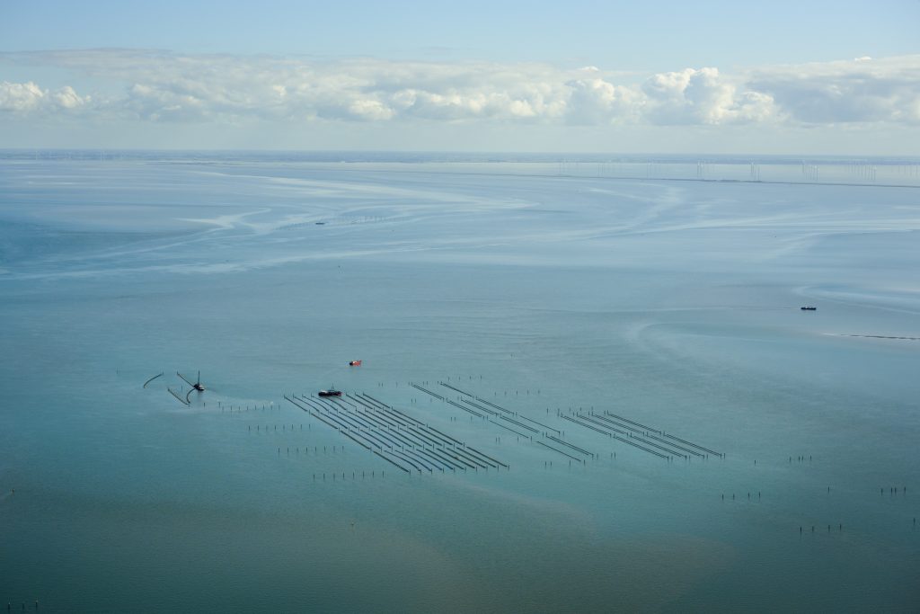 Advies Omgevingsberaad voor BOW vergadering 1 juli 2024